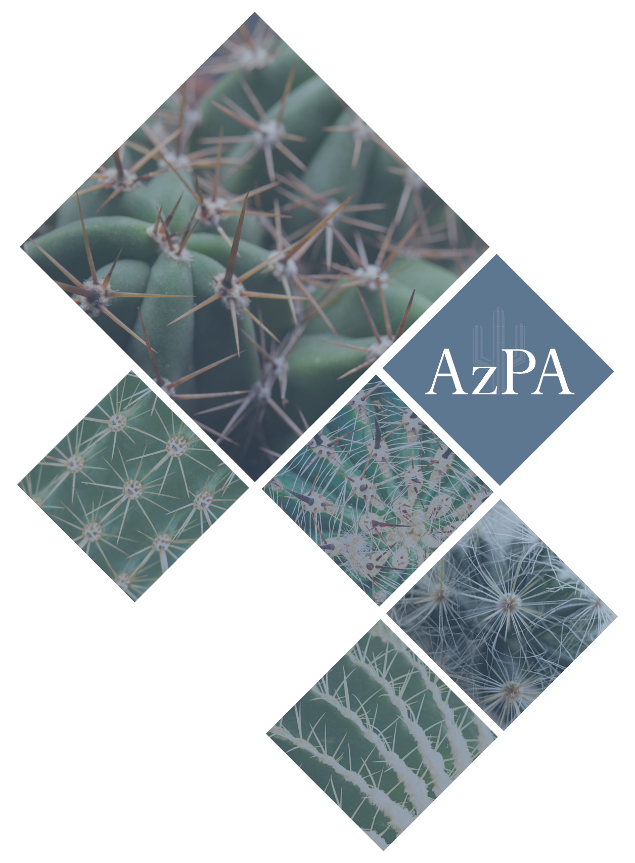 Cactus Collage